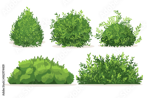 Set of vector bush illustrations on a white background. Green flat bushes on white background. Green grass vector set. Shrub bush shrubbery tree simple abstract. Eco element, foliage, stylized ecology