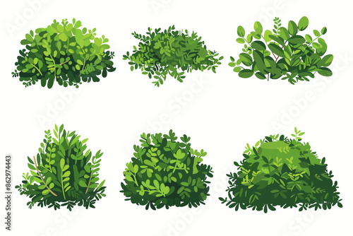 Set of vector bush illustrations on a white background. Green flat bushes on white background. Green grass vector set. Shrub bush shrubbery tree simple abstract. Eco element, foliage, stylized ecology