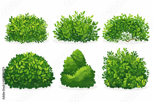 Set of vector bush illustrations on a white background. Green flat bushes on white background. Green grass vector set. Shrub bush shrubbery tree simple abstract. Eco element, foliage, stylized ecology