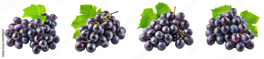Fototapeta premium Bunch of fresh dark purple grapes isolated on transparent background