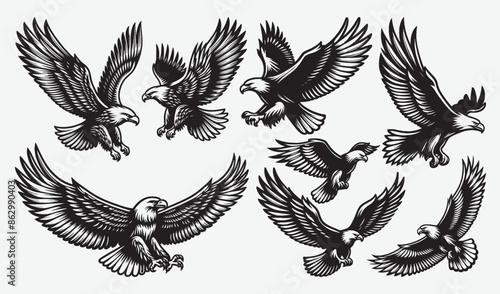 Eagle vector art illustration silhouette collection 