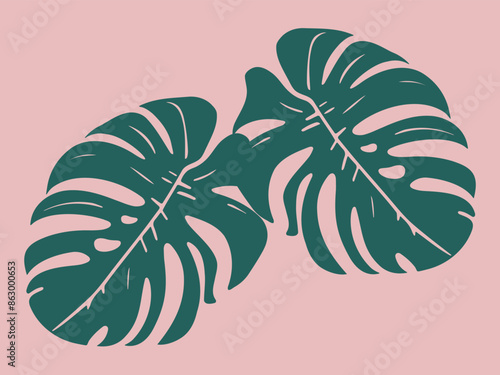 モンステラのアイコン