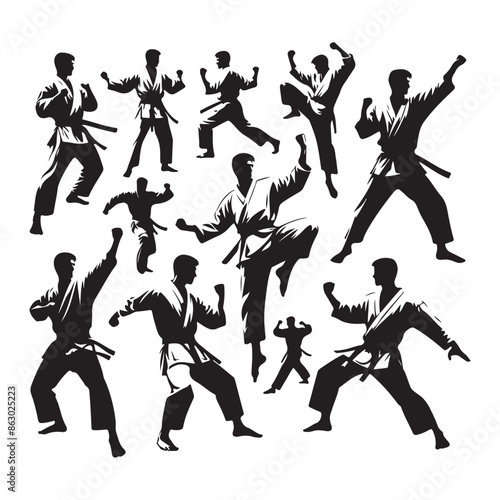 Black silhouettes of karate fighting, vector illustration