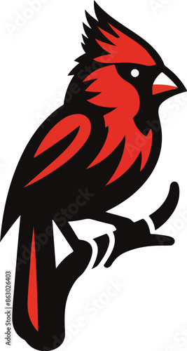 cardinal Bird vector illustration