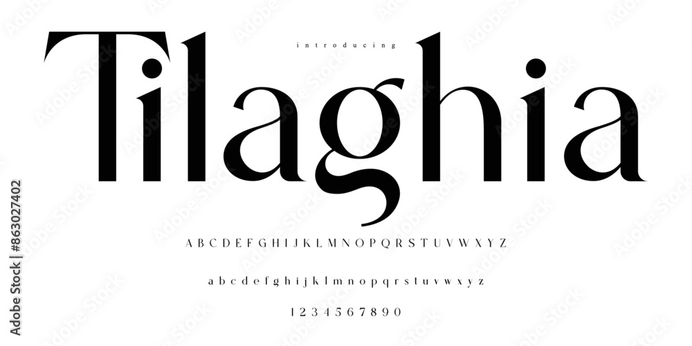 Obraz premium Modern Stylish Serif Balanced Elegant Font Alphabet Vector ABC 