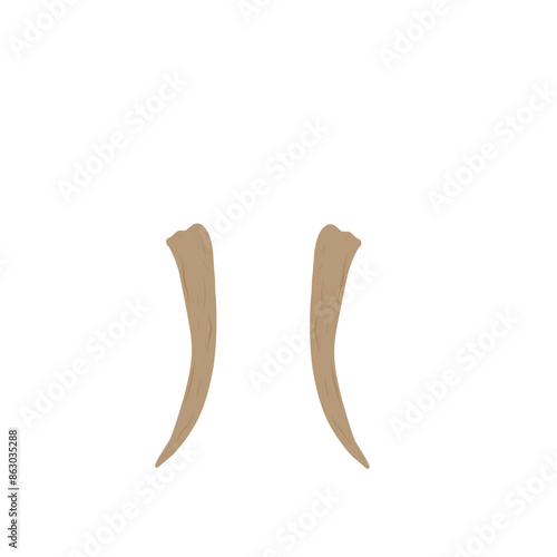 elephant ivory