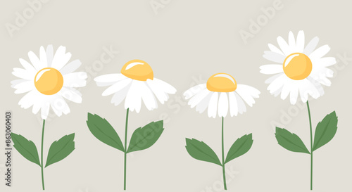 Daisy flower with green leaves icon set vector.