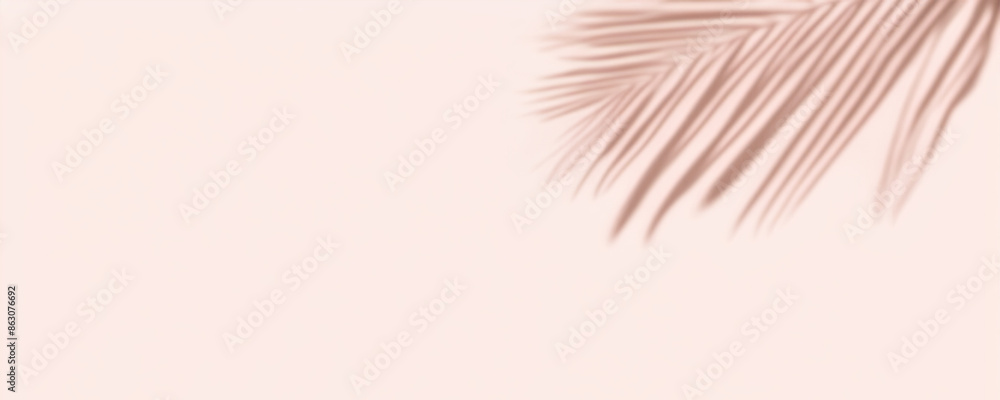 Tropical Palm Leaf Shadow on Soft Pink Background - Minimalist Nature Concept Tropical Palm Leaf Shadow on Soft Pink Background - Minimalist Nature Concept