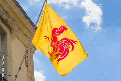 Flag of the Belgian region of Wallonia, waving against the blue sky on a sunny day. photo