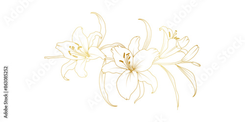 Golden lily flowers line art isolated on white background. Luxury lilies floral design elements for invitation, wedding, wallpaper, print template, vector illustration