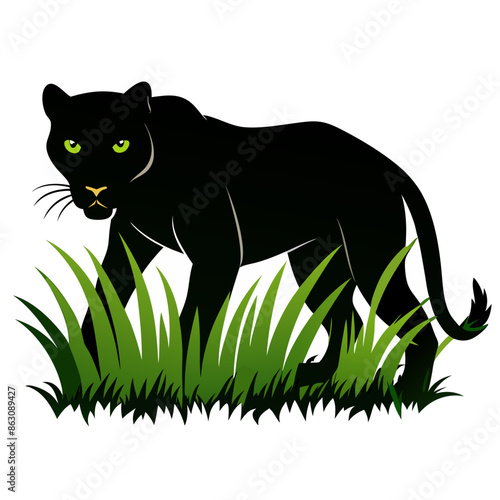 a black panther stalking through long grass