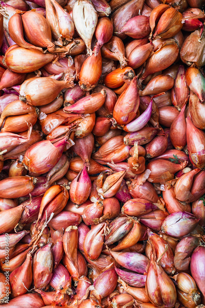 french shallots with his typical reddish-brown or copper-colored skin full of flavor french shallots with his typical reddish-brown or copper-colored skin full of flavor