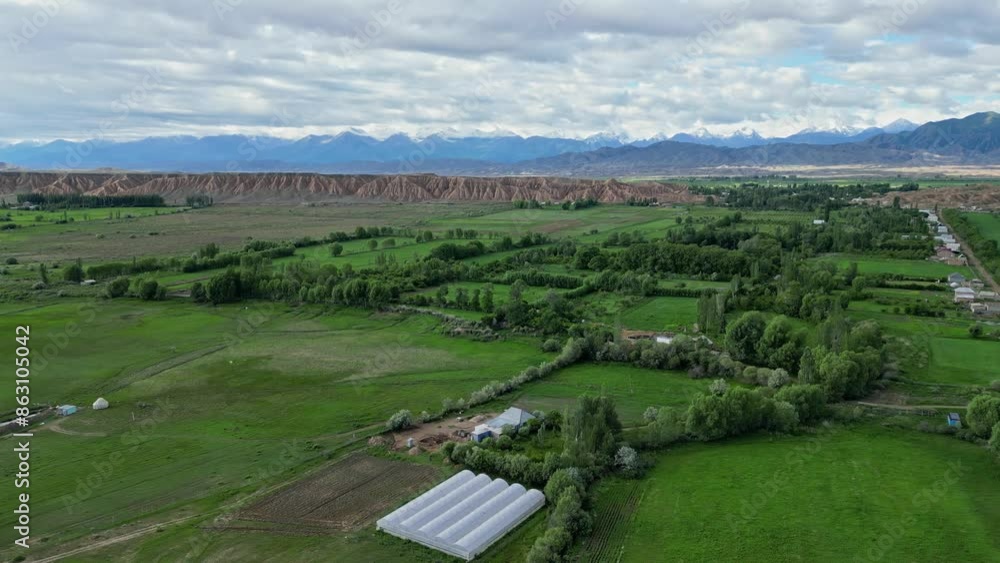 Diversity of nature in Kyrgyzstan, green planted fields, brown dry sandstone and hight mountains with snow-capped peaks. Plantations and greenhouses, growing crops. Countryside landscape in Kirgiziya Diversity of nature in Kyrgyzstan, green planted fields, brown dry sandstone and hight mountains with snow-capped peaks. Plantations and greenhouses, growing crops. Countryside landscape in Kirgiziya