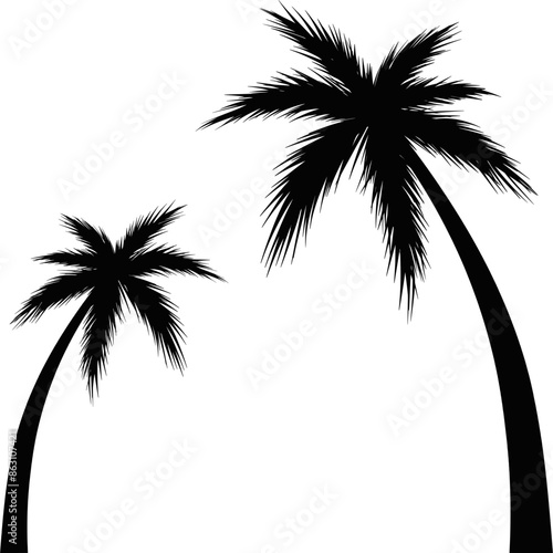 Coconut tree and palm tree silhouette vector illustration. beach vibes. Summer at the beach. Rainforest 