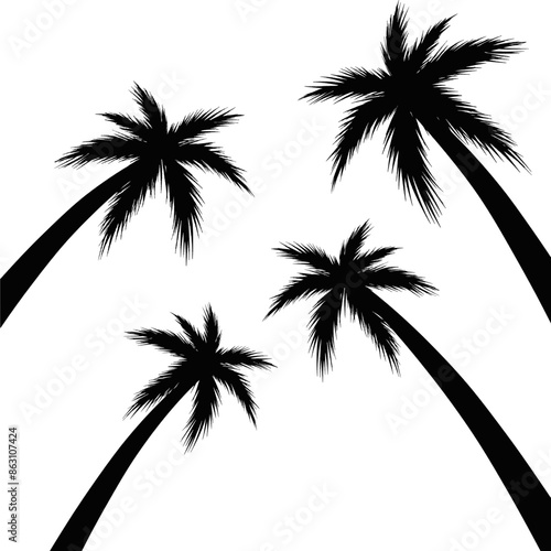 Coconut tree and plam tree silhouette vector illustration. beach vibes. Summer at the beach. Rainforest 