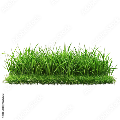 Land piece with green grass realistic garden plot isolated on white background