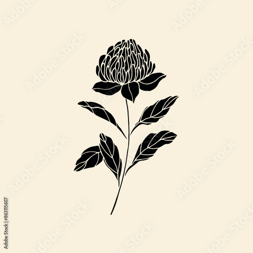 Flat vector waratah flower. Australian native flower