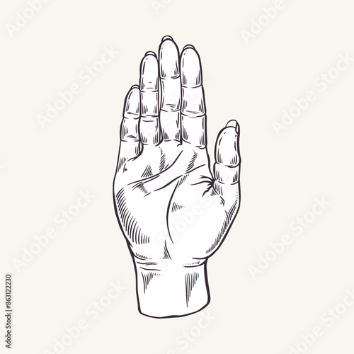 Human right hand. Open palm sign. Vector illustration. Hand of Buddha, Ganesha. Reading lines, hills. Fortune telling for the future. Palmistry