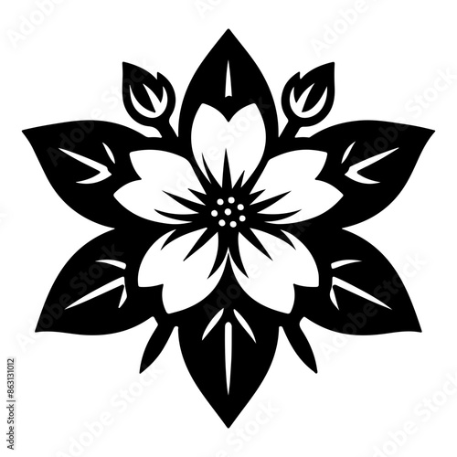 jasmine flower vector illustration