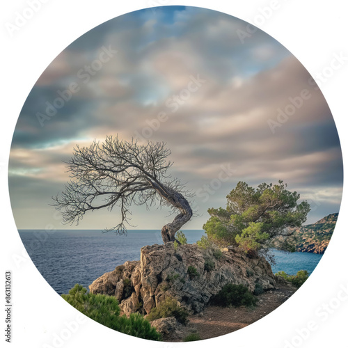 a tondo round shape portraying a tree resembling a human form with a calm and relaxing seascape in the background photo