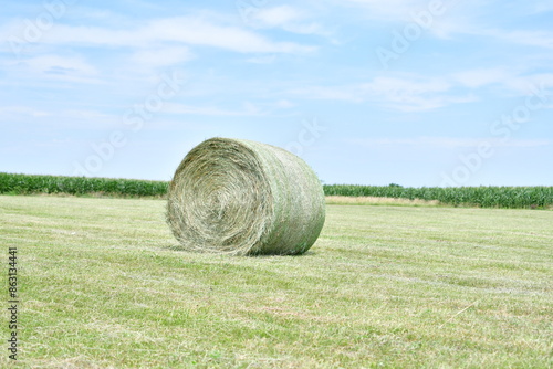 Hay Bale in a Field photo