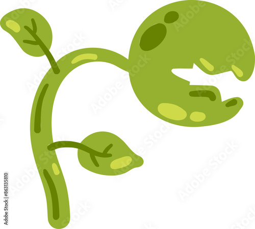 Predatory plant. Venus flytrap. Magic Flycatcher flower with teeth. Exotic tropical plant. Flat cartoon isolated on white