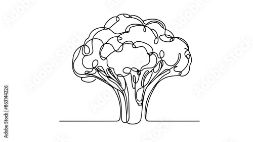 broccoli single line illustration