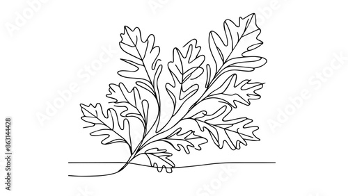 oak laves single line illustration