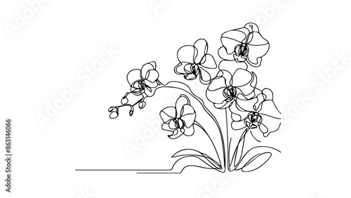 one continuous line illustration of orchids
