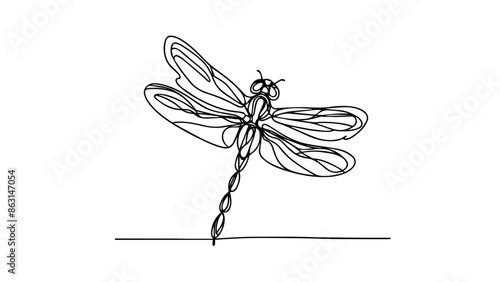 dragonfly one continuous line illustration