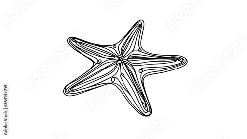 starfish One continuous line illustration