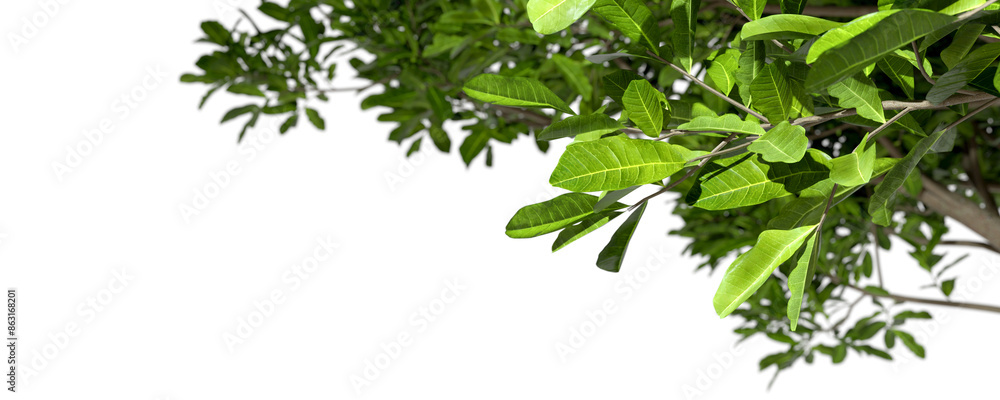 Close up tree branches corner layout cutout on transparent backgrounds 3d illustrations png Close up tree branches corner layout cutout on transparent backgrounds 3d illustrations png