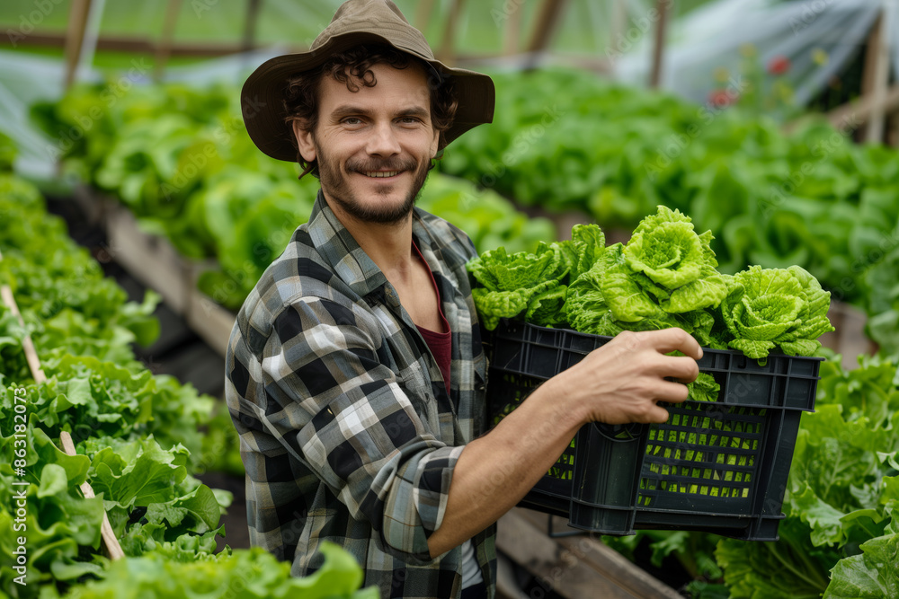 Smiling Greenhouse Cultivator Holding Crate of Fresh Lettuce Smiling Greenhouse Cultivator Holding Crate of Fresh Lettuce
