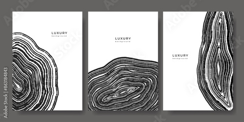 Set of luxury black and white backgrounds with wood annual rings texture. Template with shiny tree ring pattern. Stamp of tree trunk in section. Wooden concentric circles. Grunge background