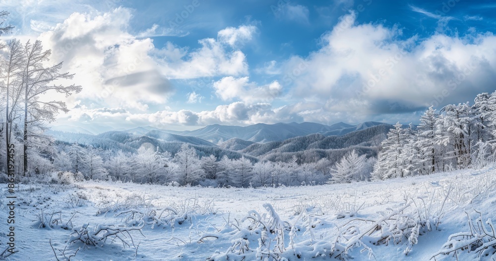 Fototapeta premium Snow-covered mountains in North Carolina during the frigid winter.