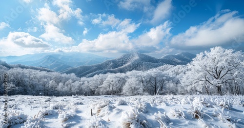 Wallpaper Mural In the frigid months of winter, North Carolina's mountains are breathtaking. Torontodigital.ca