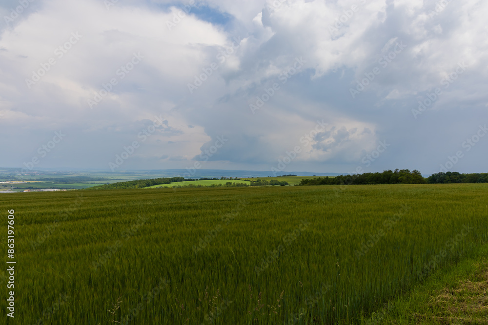 Obraz premium Beautiful spring landscape before the storm. Grain fields and dark clouds are seen.