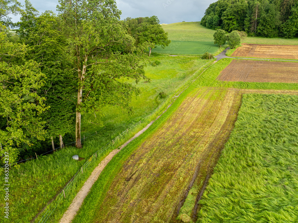 High angle view of path along forest and fields in rural farmland. Countryside in Switzerland. High angle view of path along forest and fields in rural farmland. Countryside in Switzerland.