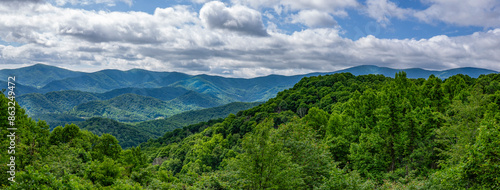 A panoramic view of the Roan Highlands from the Chestnut Ridge Overlook in Roan Mountain State Park, Tennessee. Framed by forest in the foreground and a thick cloud cover above the mountain peaks. photo