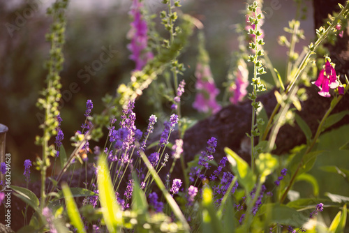 A beautiful spring flower field summer meadow. Magical nature background blossom