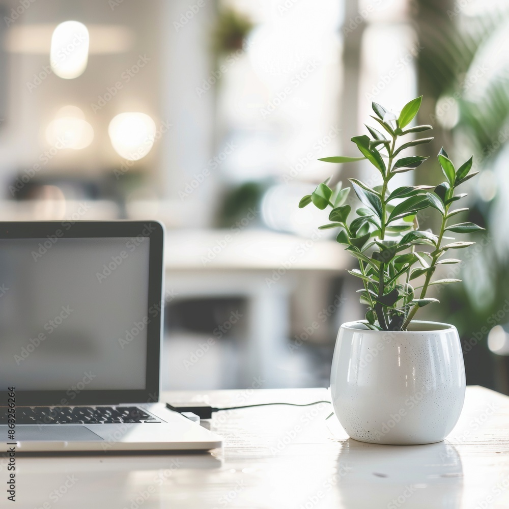Minimalist Office Space With Laptop and Plant on a White Desk. Generative AI Minimalist Office Space With Laptop and Plant on a White Desk. Generative AI
