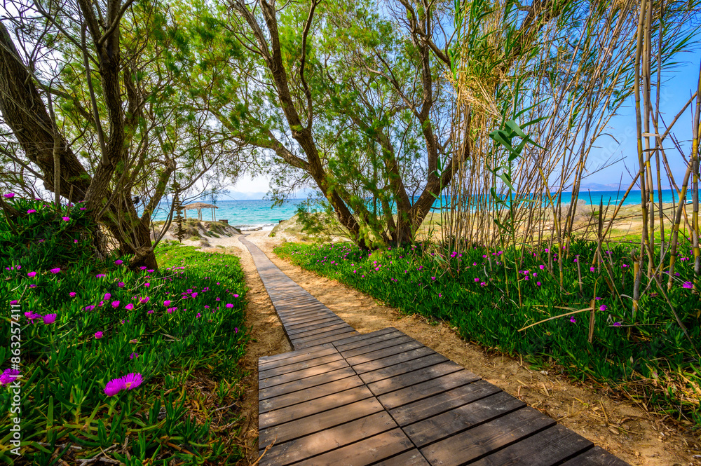 Obraz premium Tam Tam Beach - beautiful coast scenery with paradise beach on island Kos - travel destination in Greece, Europe