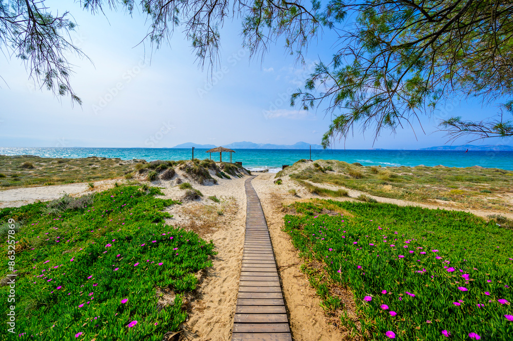Tam Tam Beach - beautiful coast scenery with paradise beach on island Kos - travel destination in Greece, Europe Tam Tam Beach - beautiful coast scenery with paradise beach on island Kos - travel destination in Greece, Europe