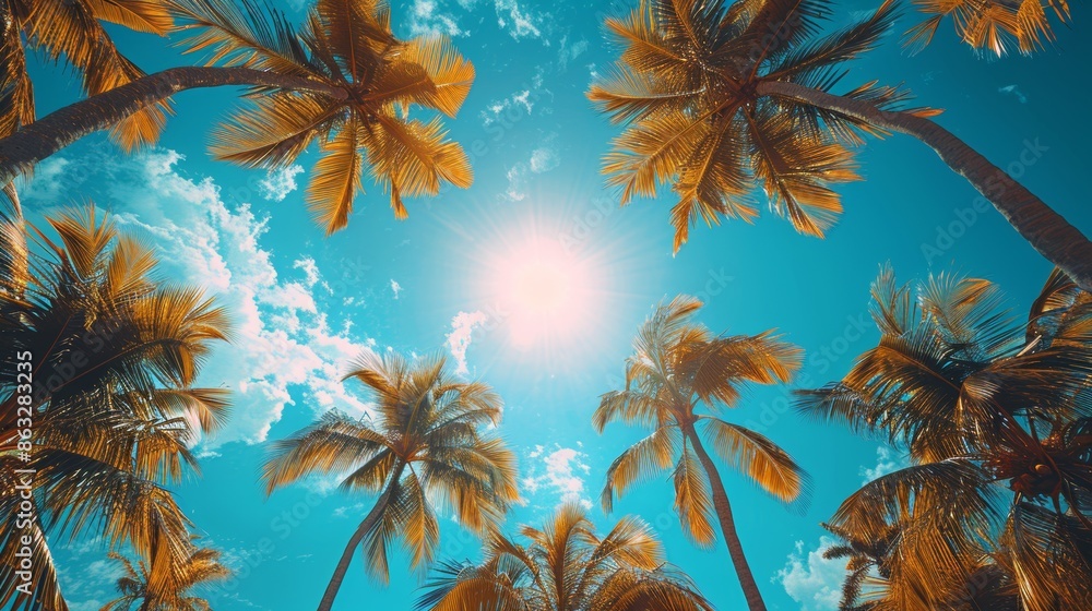 Observing blue skies and palm trees from below, vintage style, tropical beach and summer background, travel concept. Observing blue skies and palm trees from below, vintage style, tropical beach and summer background, travel concept.