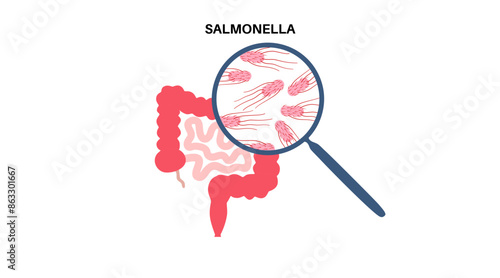 .Salmonella Typhimurium Cells