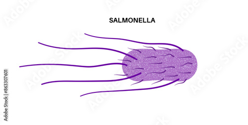 .Salmonella Typhimurium Cells