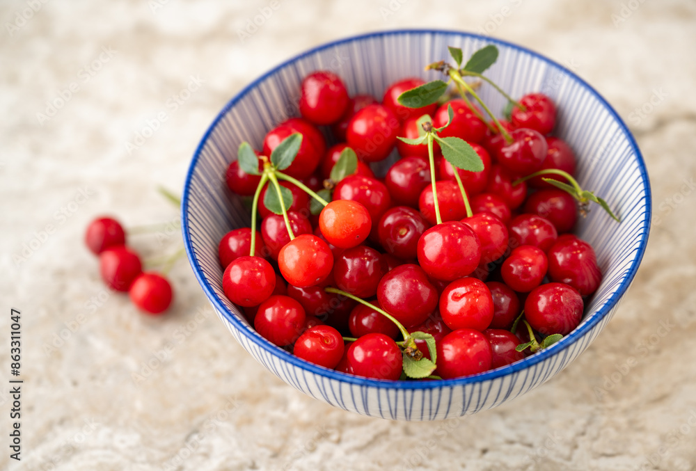 Bowl of Freshly Picked Sour Cherries Bowl of Freshly Picked Sour Cherries