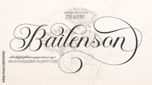 Signature Font Calligraphy Logotype Script Brush Font Type Font lettering handwritten