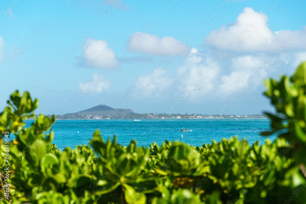 A scenic view of the ocean framed by a bush on a beautiful sunny day A scenic view of the ocean framed by a bush on a beautiful sunny day