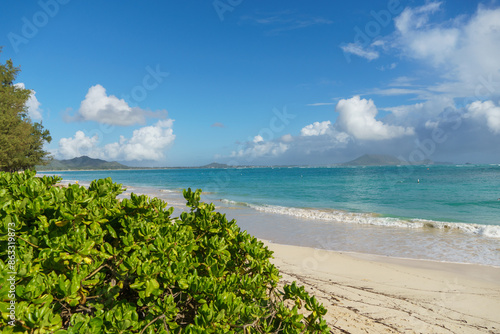 Beach with bush in front, ocean behind. Natural landscape with water and sky © dualpics